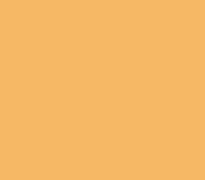CARAMEL 95 caparol образец цвета