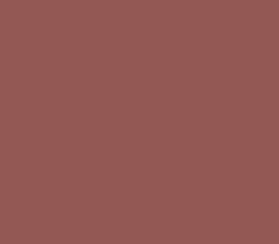 BAROLO 45 caparol образец цвета